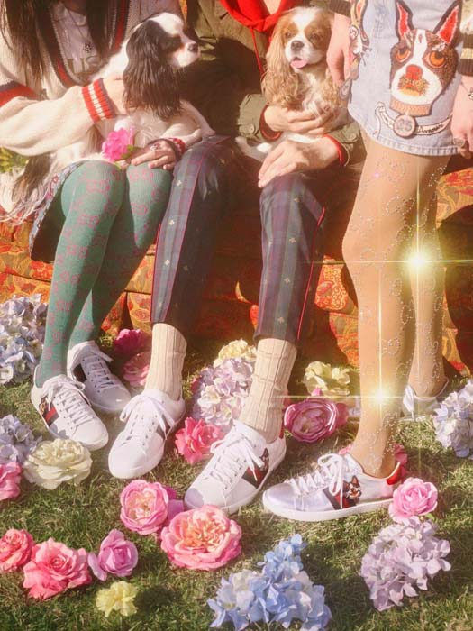 GUCCI, KÖPEK YILINI KUTLUYOR