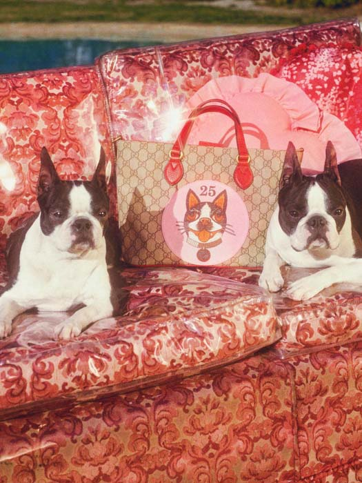 GUCCI, KÖPEK YILINI KUTLUYOR