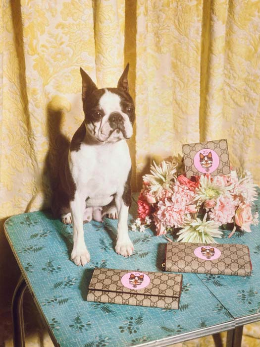 GUCCI, KÖPEK YILINI KUTLUYOR