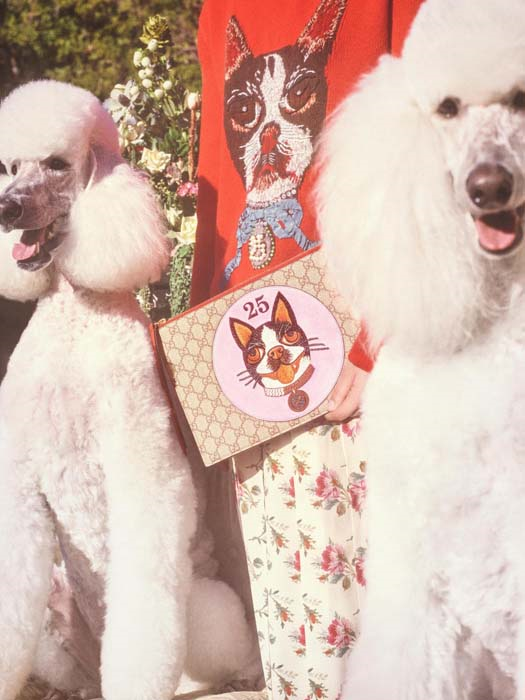 GUCCI, KÖPEK YILINI KUTLUYOR