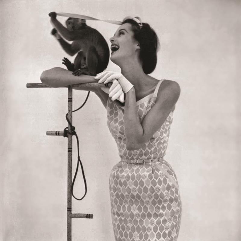 BİR HAYALPERESTİN OBJEKTİFİNDEN