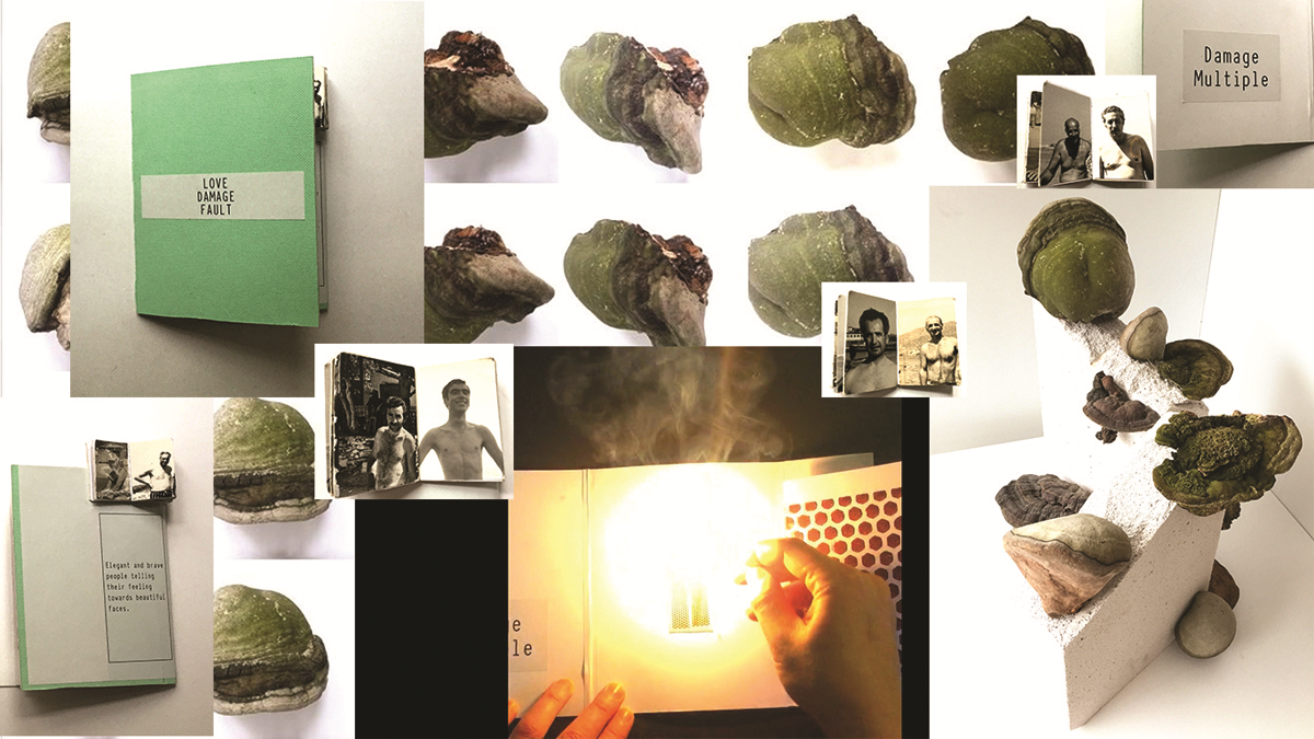 HAFTANIN DİKKAT ÇEKEN ETKİNLİKLERİ