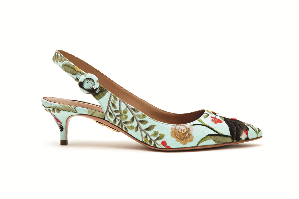 EGZOTİK VE İDDİALI