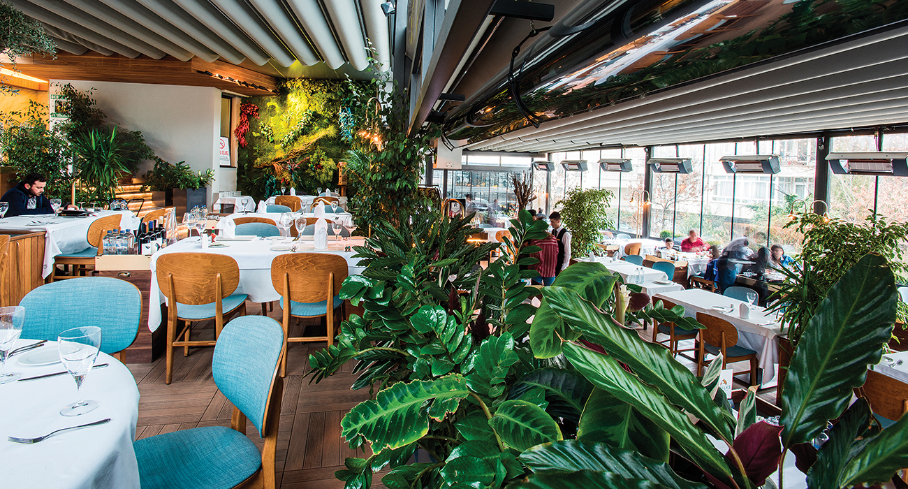 BİR BAŞARI HİKAYESİ