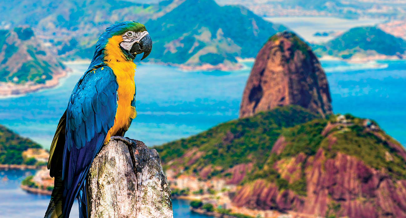 GÜZELLİKLERİN ÜLKESİ BREZİLYA