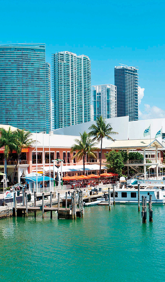 JOYSE GOLDENBERG'İN MİAMİ'Sİ