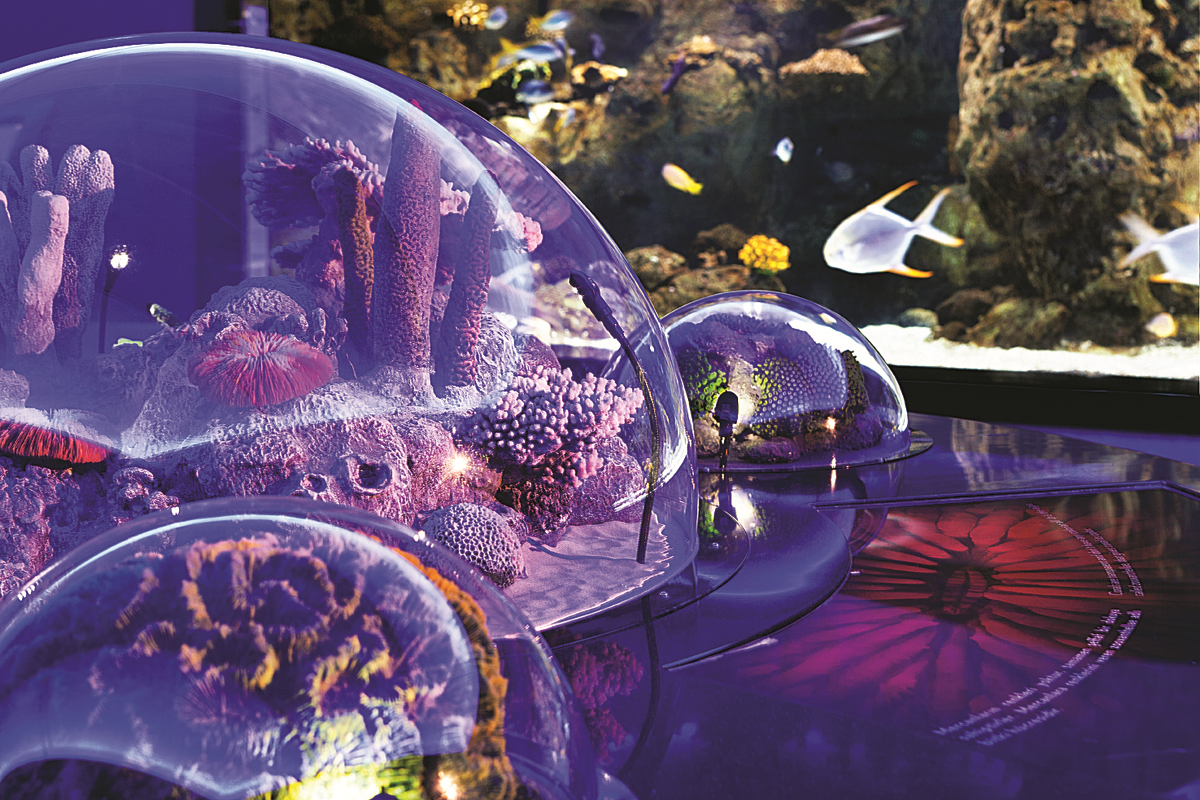 23 NİSAN ETKİNLİKLERİ