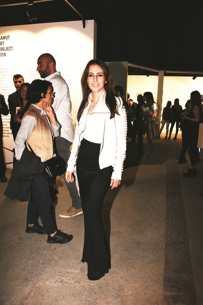 MAMUT ART PROJECT 2018