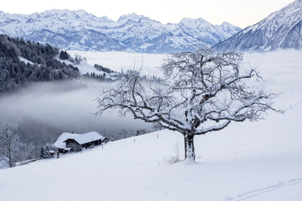 12. KEZ KADIN GÖZÜYLE HAYATTAN KARELER