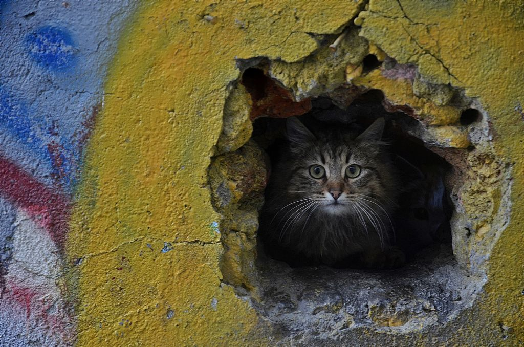 12. KEZ KADIN GÖZÜYLE HAYATTAN KARELER