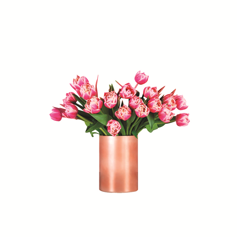 BANU BORA MUMCUNUN LÜKSLERİ