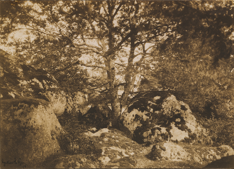 PARİSİN İLHAM VEREN BAHÇELERİ