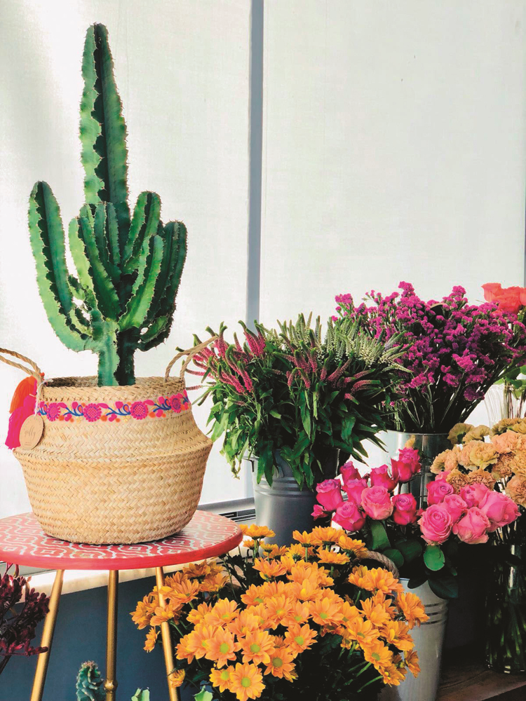 HAFTANIN MODA RADARI