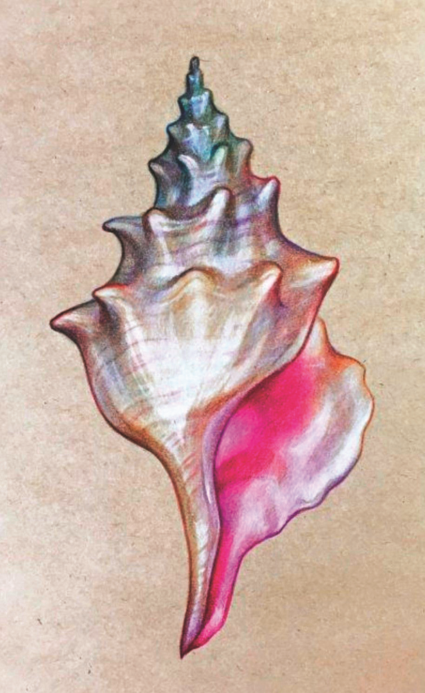 HAFTANIN TASARIMCISI: ŞANSIM ADALI