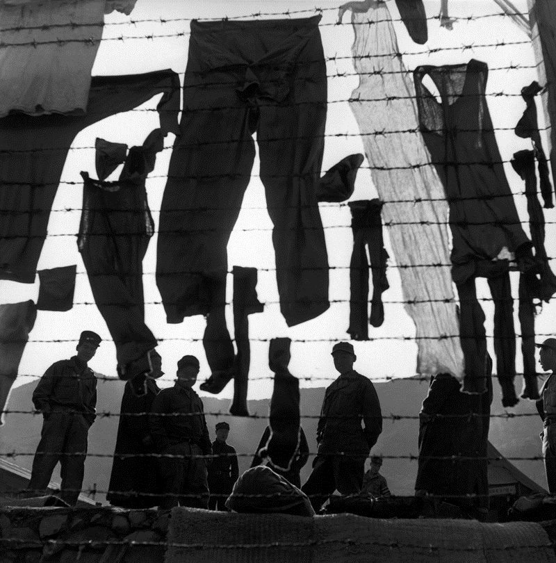 MAGNUM FOTOĞRAFÇISI TÜRKİYEDE