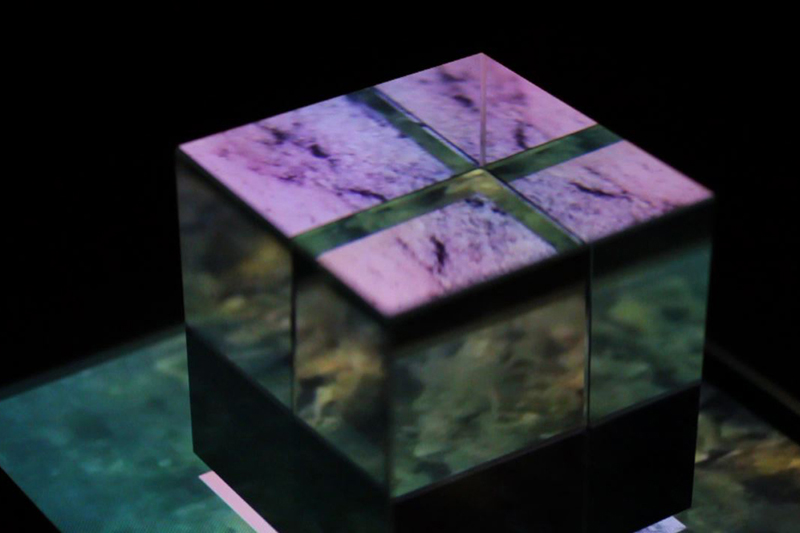 LARA KAMHİNİN ESERLERİ TUNUSTA