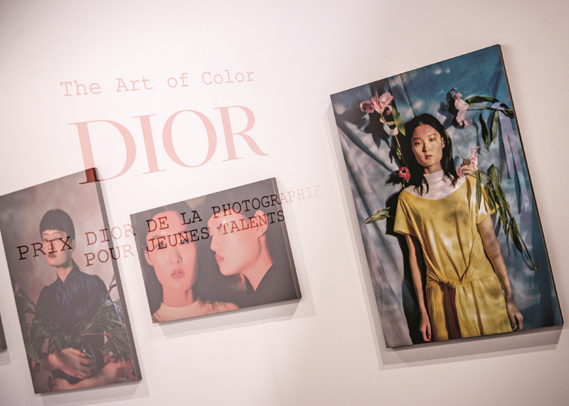 RENKLERİN SANATI DIOR 