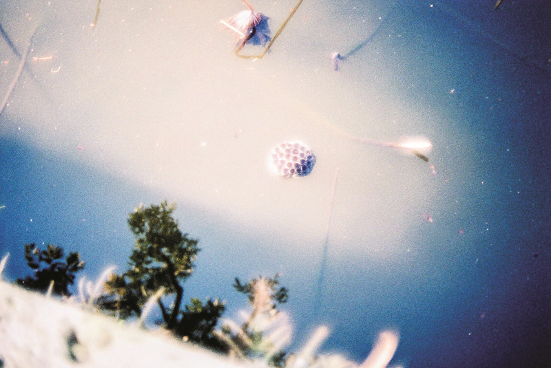 RENKLERİN SANATI DIOR 