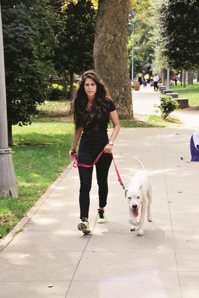 İSTANBUL CADDELERİ 