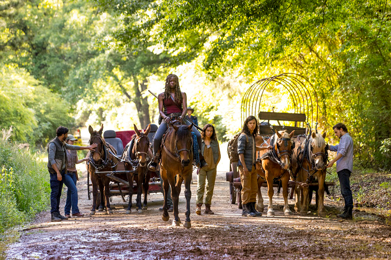 THE WALKING DEAD BAŞLIYOR!