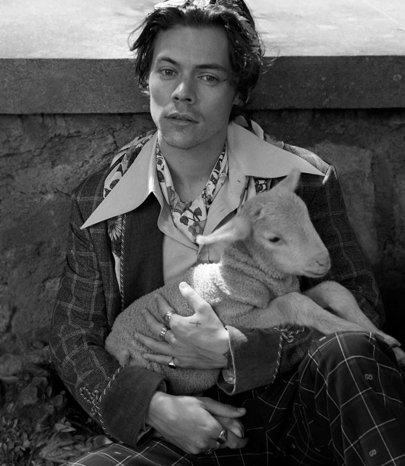 HARRY STYLES GUCCI KAMPANYASINDA