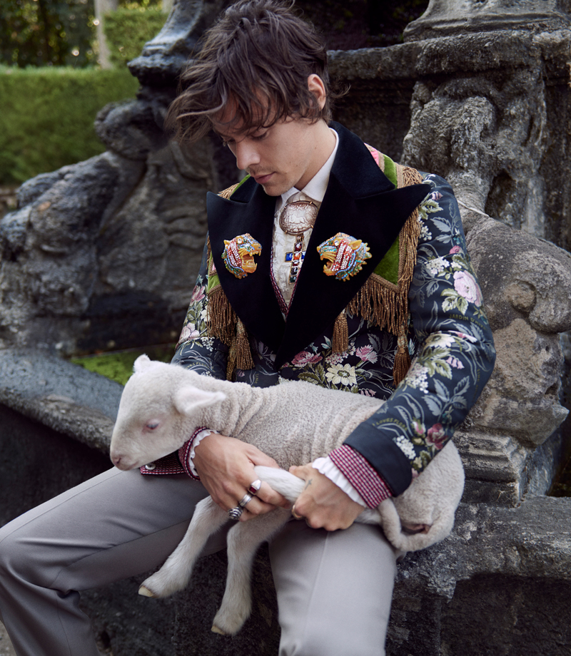HARRY STYLES GUCCI KAMPANYASINDA