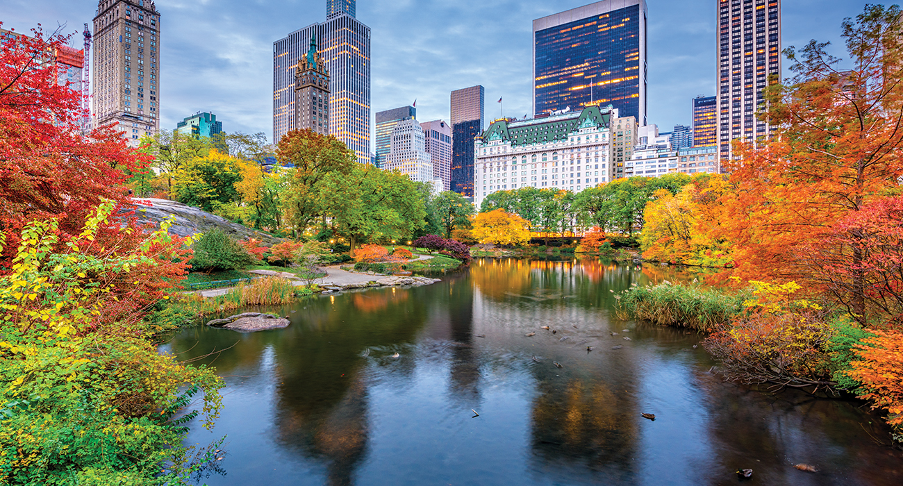 İPEK VAROL'UN LÜKSLERİ 