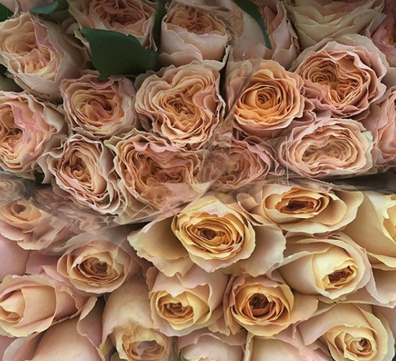 ÖĞRETMENLER GÜNÜ HEDİYELERİ 