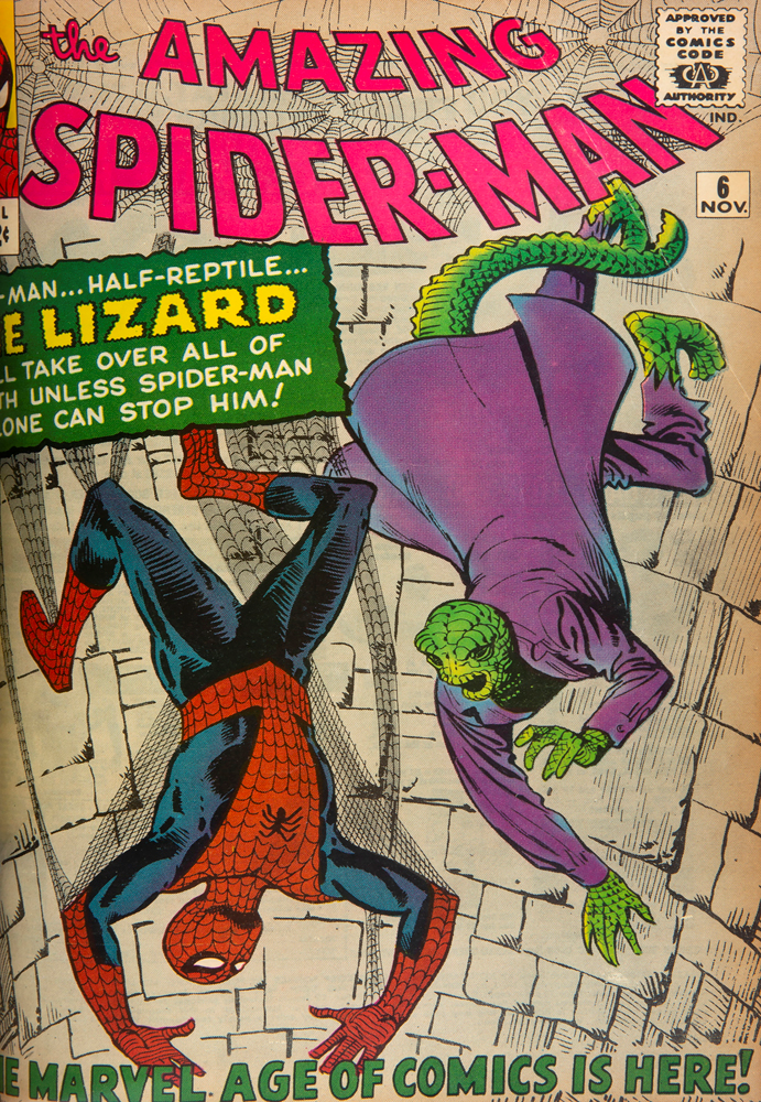 STAN LEE KOLEKSİYONU