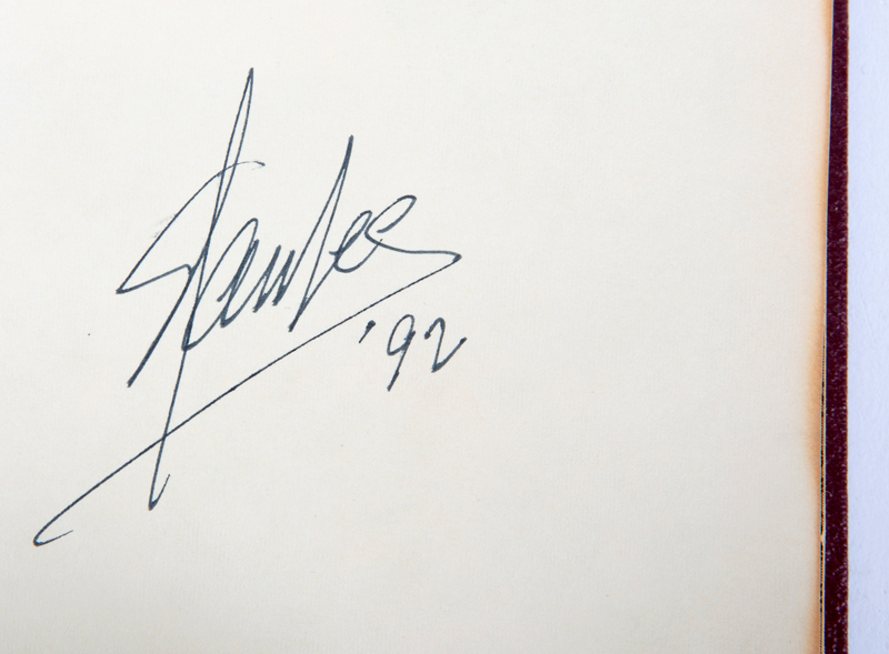 STAN LEE KOLEKSİYONU