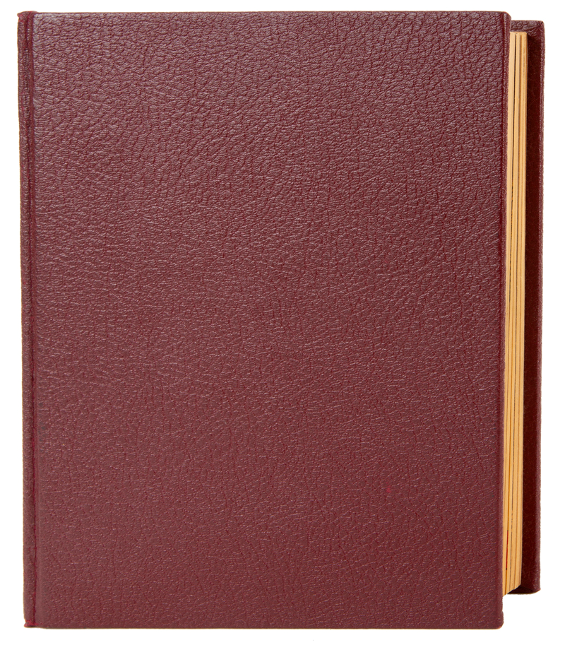 STAN LEE KOLEKSİYONU