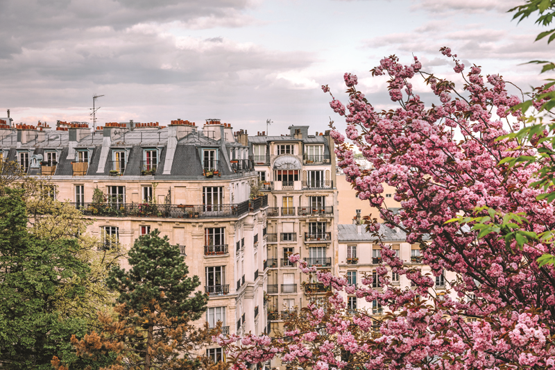 Mİ+LA'NIN YARATICISI ELİF ERGENÇ'İN MOODBOARD'U