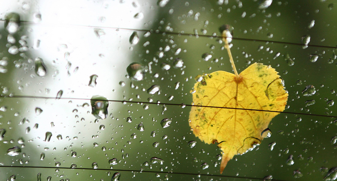 Yağmurlu Havalarda İzlenebilecek 9 Güzel Film