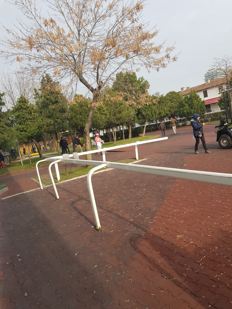 KRISTEN STEWART FİLM ÇEKİMİ İÇİN İSTANBULDA