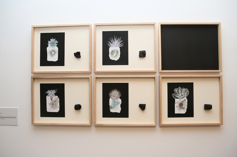 SANATÇI PLATFORMU  BASE’E YOĞUN İLGİ