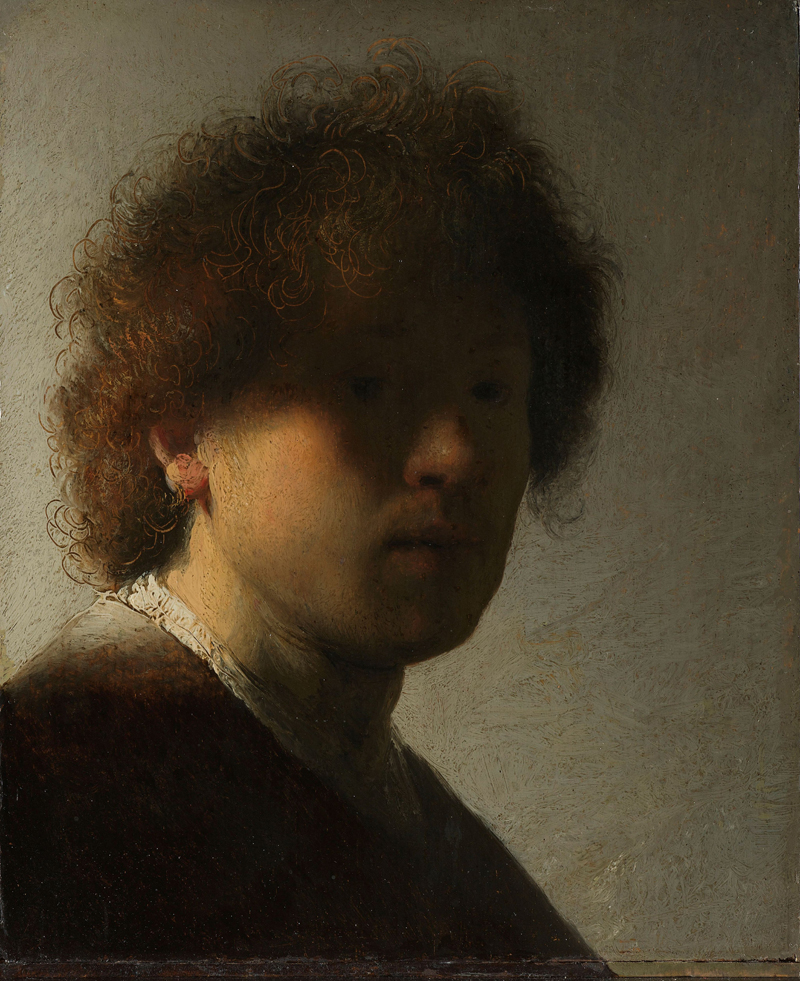 REMBRANDT YILI
