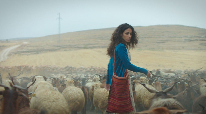 CANSU TOSUN HANGİ DİZİLERDE ROL ALDI?