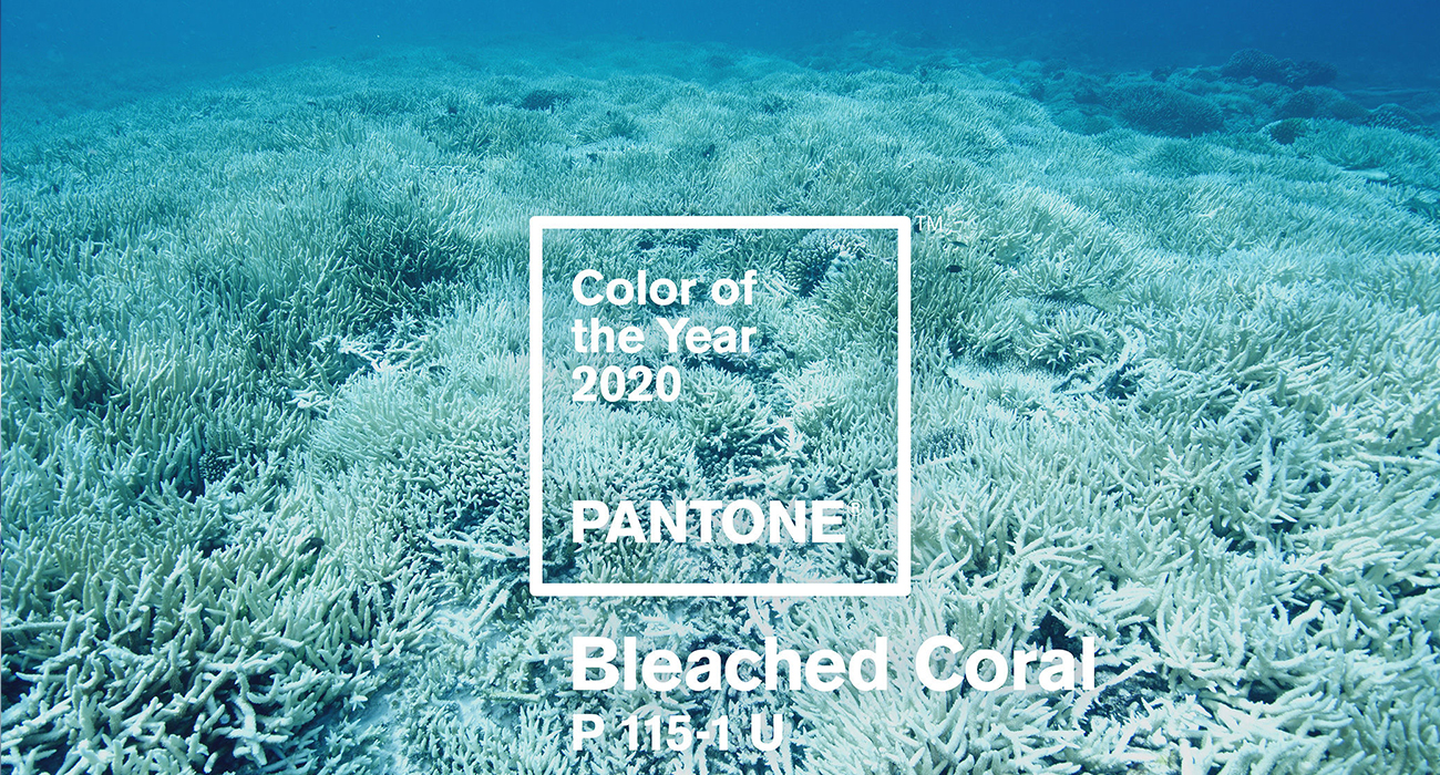 YILIN RENGİNE YILIN TARTIŞMASI