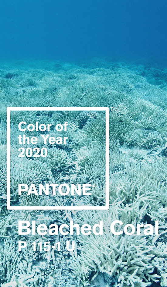 YILIN RENGİNE YILIN TARTIŞMASI