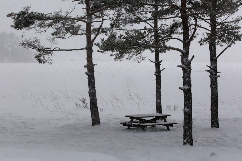 ABANT'TA HAFTA SONU KAÇAMAĞINA NE DERSİNİZ?