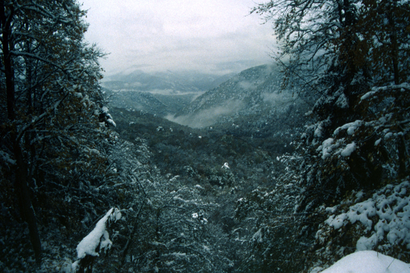 ABANT'TA HAFTA SONU KAÇAMAĞINA NE DERSİNİZ?