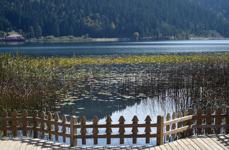 ABANT'TA HAFTA SONU KAÇAMAĞINA NE DERSİNİZ?