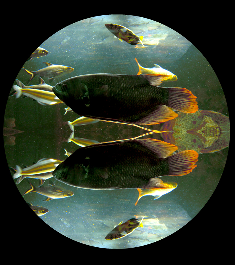 THEO ESHETU’DAN ‘YÜZLER YERLER’  