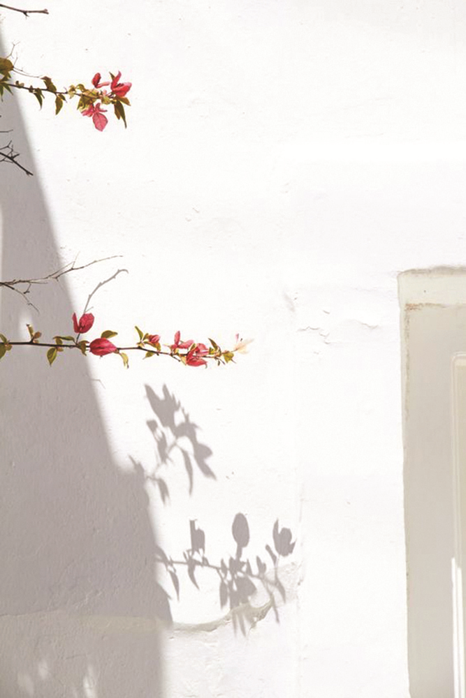 RABIA TURGAY'IN MOODBOARD'U