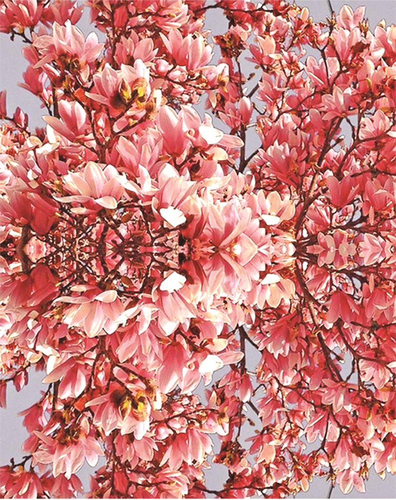 RABIA TURGAY'IN MOODBOARD'U