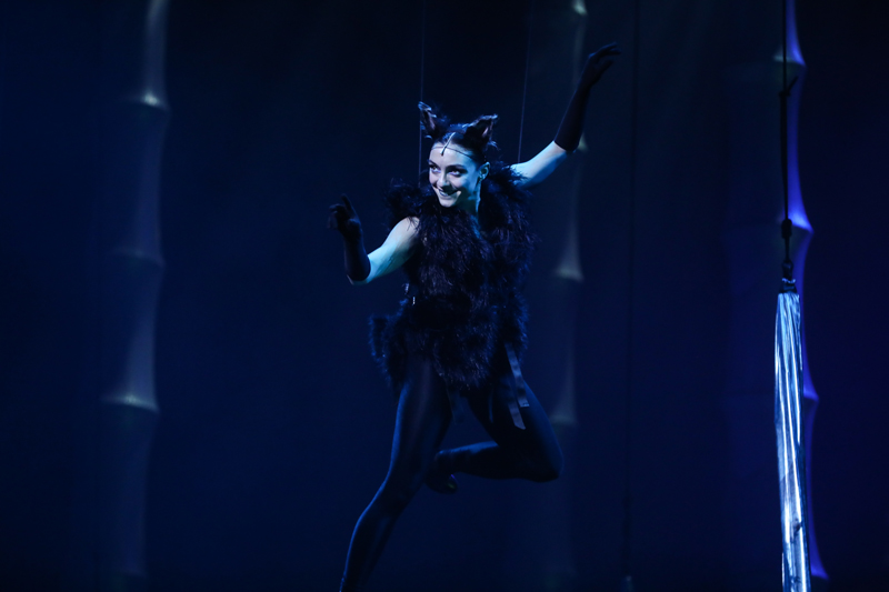 ALICE MÜZİKALİ İZLEYİCİ İLE BULUŞTU