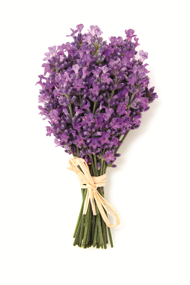 AYFER TOPRAKIN LÜKSLERİ