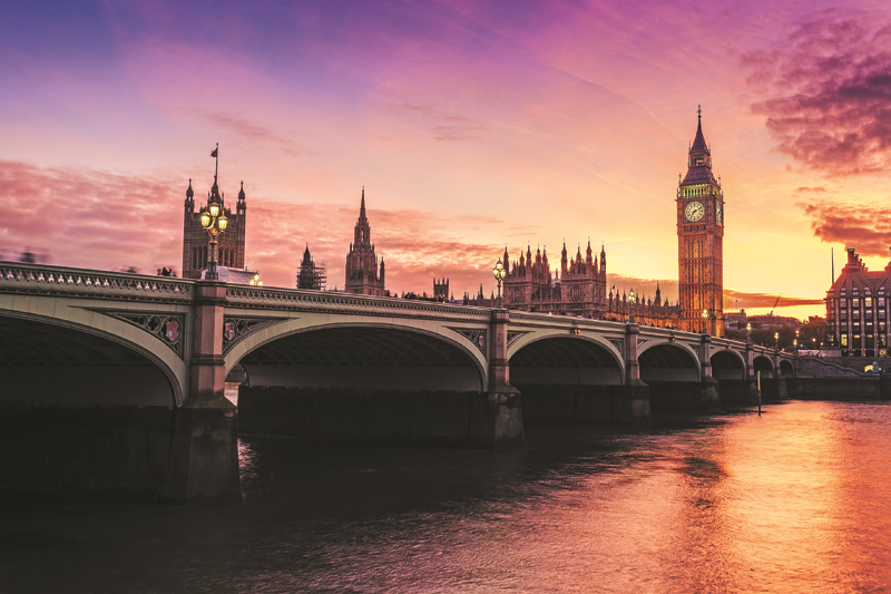 GÜNEŞ DENİZ'İN MOODBOARD'U