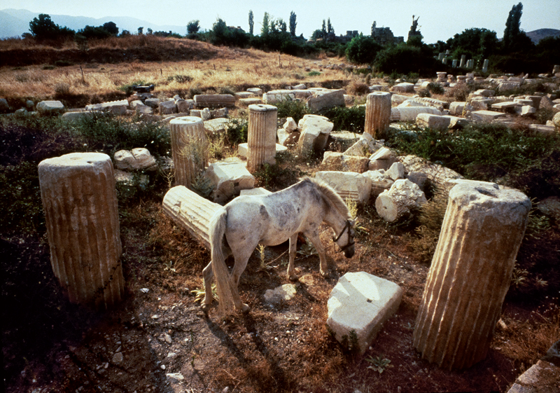 ARA GÜLERİN APHRODISIAS ARŞİVİ