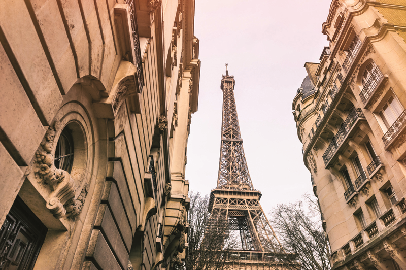 EDA SELCAN'IN MOODBOARD'U